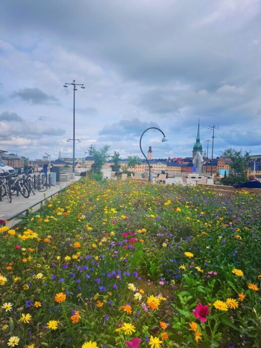 06461440-82B2-4F11-A752-92336D6ACBF3