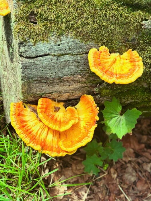 11D66CC8-A40D-4CF3-9599-7528B7CE59D4