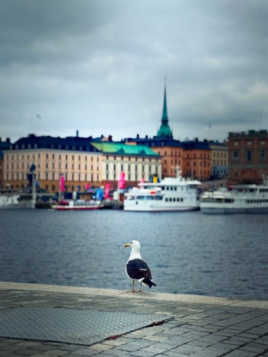 2A94B935-44CC-44E0-8792-9B5CB0A602D9