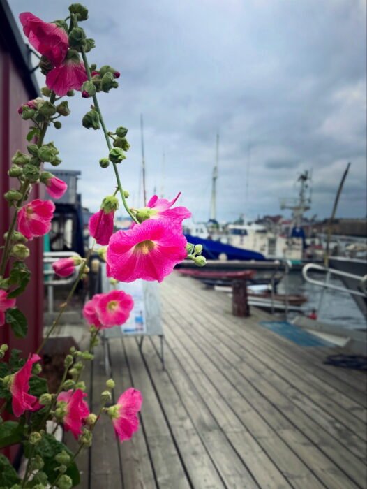 2BC8E54F-5CF8-49F4-8B57-DB5E6F4A1BA3