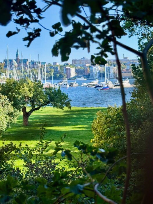 31A10CCD-E020-4248-A5CD-268A25AC7864