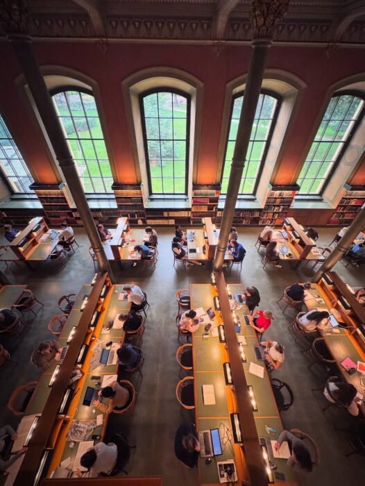 526A6790-3A42-45E2-B32F-DF30A060C858