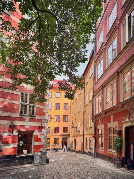 53158542-4D6B-4F67-AFD9-D079B5BAB547