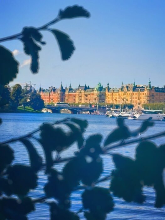 561F3EC7-79DC-46F0-9216-8D847FFBBB30