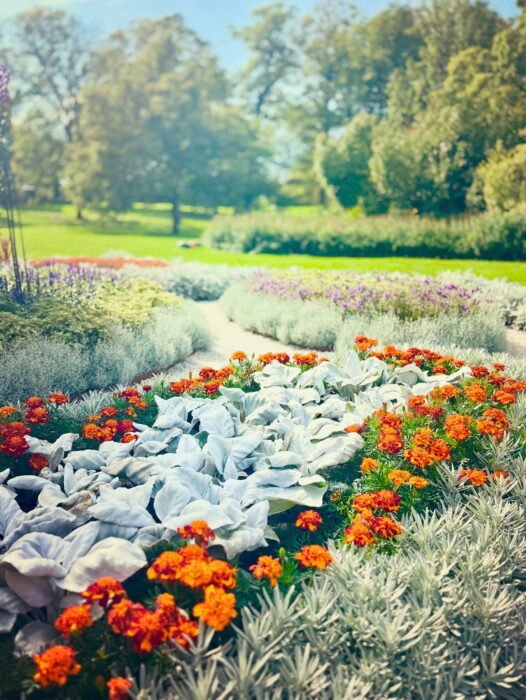 656EF973-6A36-4285-A422-848DCA7D5438