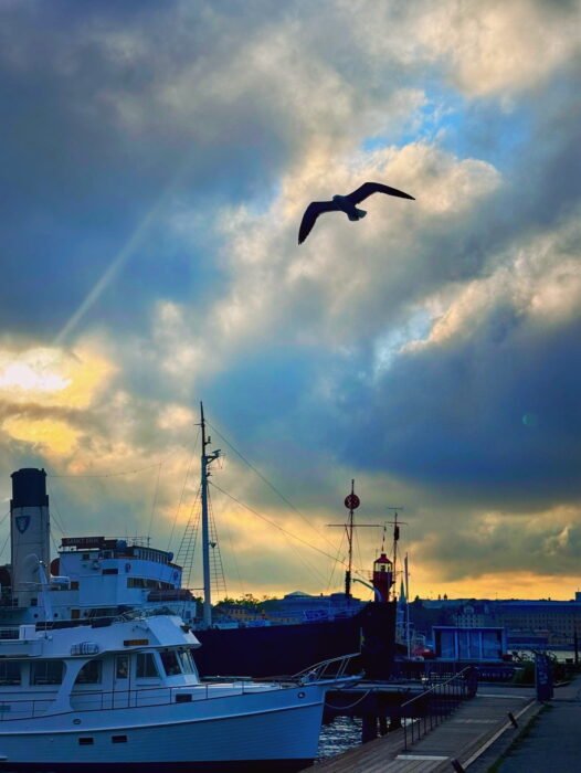 6D17F28F-4E50-428C-AC8A-0C74E9359328