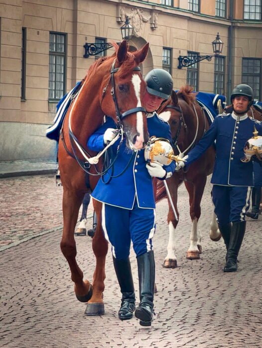 72CFAAC3-8DE2-420F-A6FA-ADDDFA1F1E6C