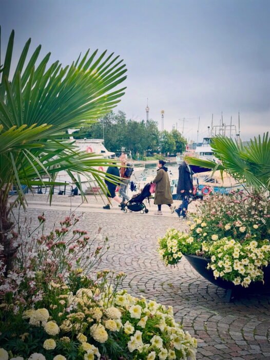 7A209D21-A3F8-4CE2-A614-E8D3C0840A36