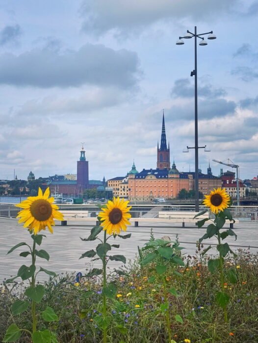 89601A60-8CCF-496F-8F37-E728FA4B6035