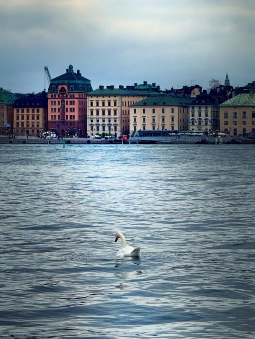 C88631CD-307C-4335-9C1C-D957FDF16C9C