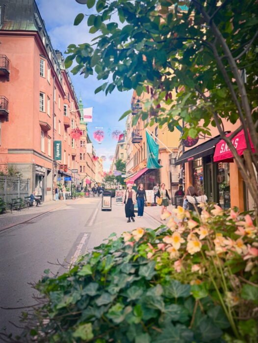 CE1BE048-E436-43C9-B5B9-909B7BB316BD