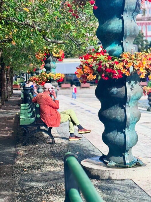 E156661A-8544-49D9-B029-8FAB5990A9E0