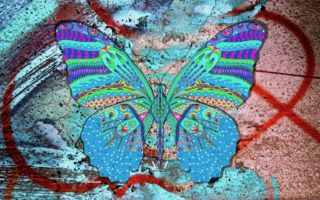 Borboleta by Ligia Fascioni