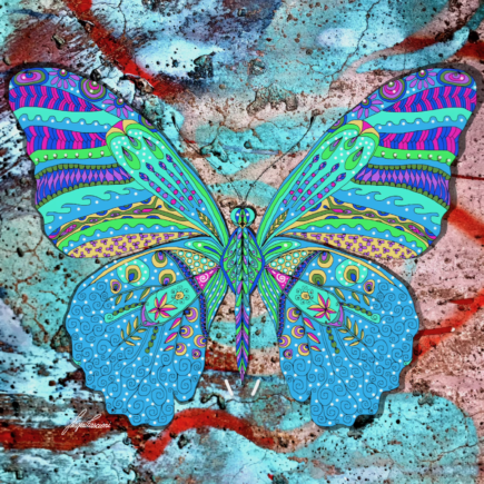 Borboleta by Ligia Fascioni