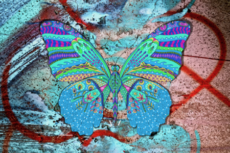 Borboleta by Ligia Fascioni
